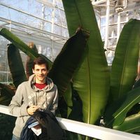 Fotos de Piero Foust