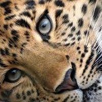 Fotos de Gillian Cantó