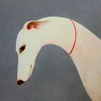 Lazare Tchaava's Photo