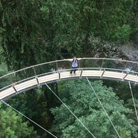 Carlos Aldair Roque Amaro's Photo