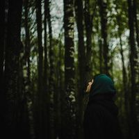 Igor Chibisov的照片