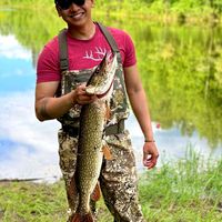 Fotos von Joe Mueller