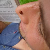 laurent brasseur's Photo