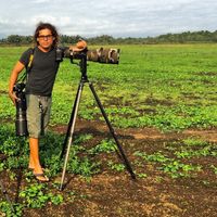 Randall Ortega Chaves's Photo