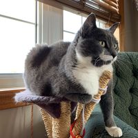 Jadel Menard的照片