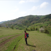 Fotos de saber kamaliyan