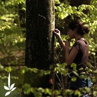 Micha Chopard's Photo