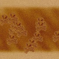 Paul Lapinig's Photo