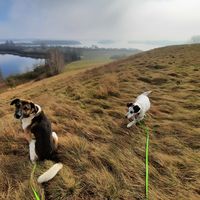 ORANGEKLOPS的照片