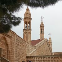 Raperin Tunç's Photo