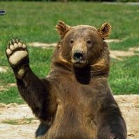 Le foto di Marco Iannice