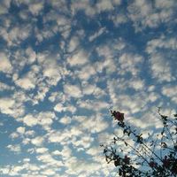 Martina Dumrauf's Photo