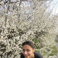 Hedyeh Jafari's Photo