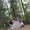 Alejandra Halldin's Photo