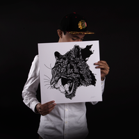 Fotos von Bryan Gallardo