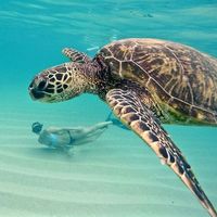 Nicole Carter's Photo