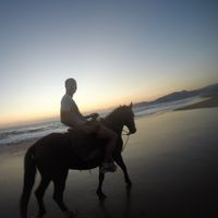 Tim Friedrich Kuhlendahl的照片