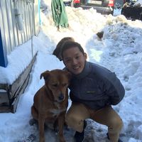 Howard  Ang的照片