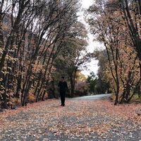 Joshua Henderson的照片