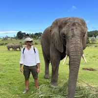 Fotos de Alexandre Mantovani