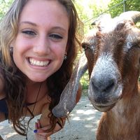 Emily Renne的照片