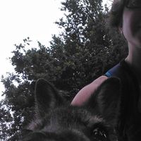 Karine Desbois's Photo