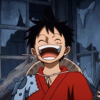Monkey DLuffy's Photo