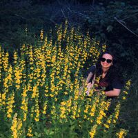 Фотографии пользователя Lisa Schermann