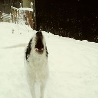 Berenice Lopez's Photo