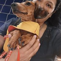 Photos de Eugenia  Giménez