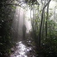 Vincent Johnson's Photo