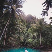 Carolina Guerrero's Photo