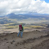 Vincent Ferré's Photo