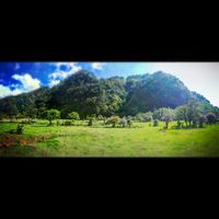 Manu Calderon's Photo