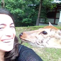 Tamar Baruch's Photo