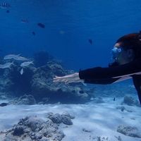 Anne-kevine Robin's Photo