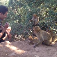 Mouncir zouhair's Photo