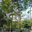 Jogging and Silent Reading 's picture