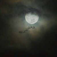 Samuel roth's Photo