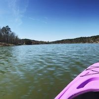 Alex Schields's Photo