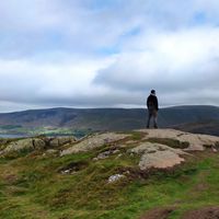 Mahmoud Almssri的照片