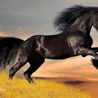 Duy Khanh Nguyen's Photo