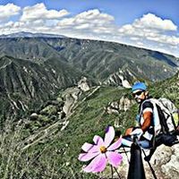 Ernesto Fano的照片