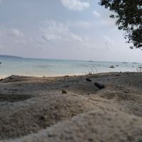 Fotos de sandy andkumar