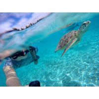 Koki Inafuku的照片