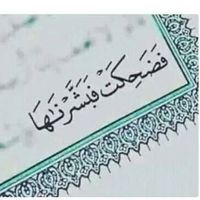 Adel Alpdre的照片