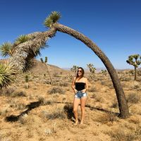 Julia Catalano's Photo