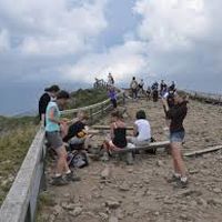 Greta Moller's Photo