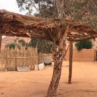 Belal Gargom的照片