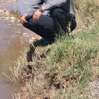 mohamed ait taleb's Photo